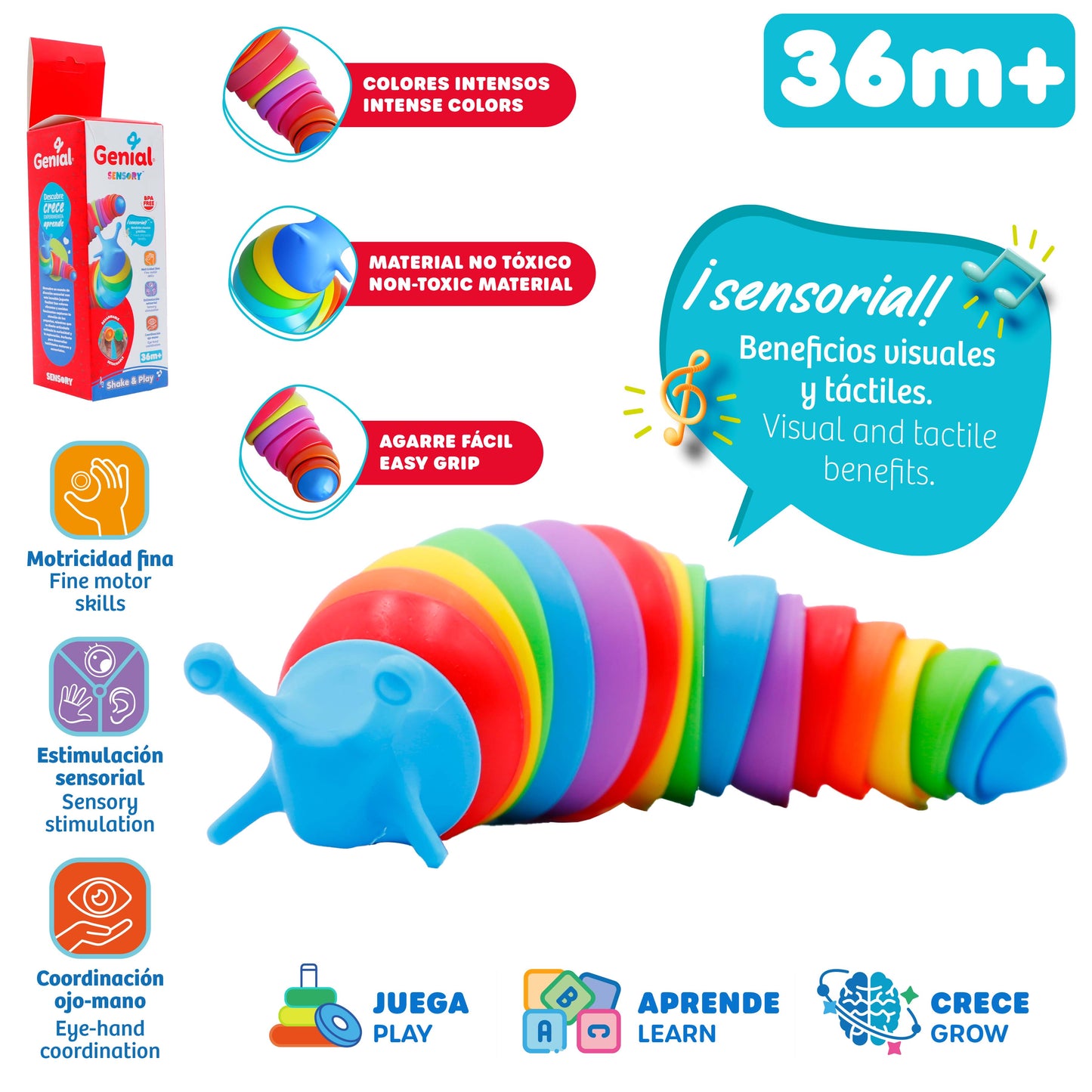 GUSANO ARCOIRIS GENIAL