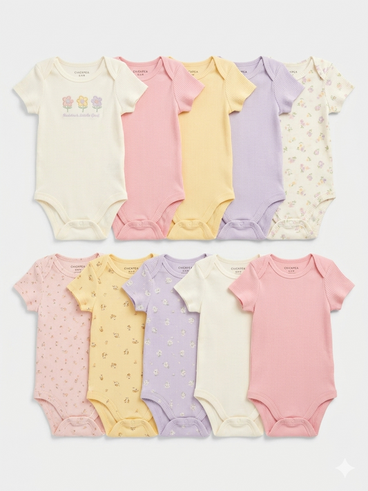SET 10 BODYS 6628 CHICKPEA