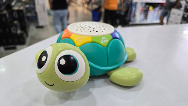 TORTUGA SENSORIAL WAKIDS